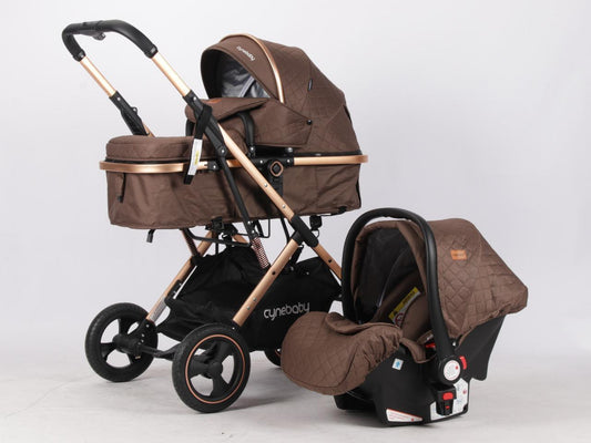 Coche Moises Atenas